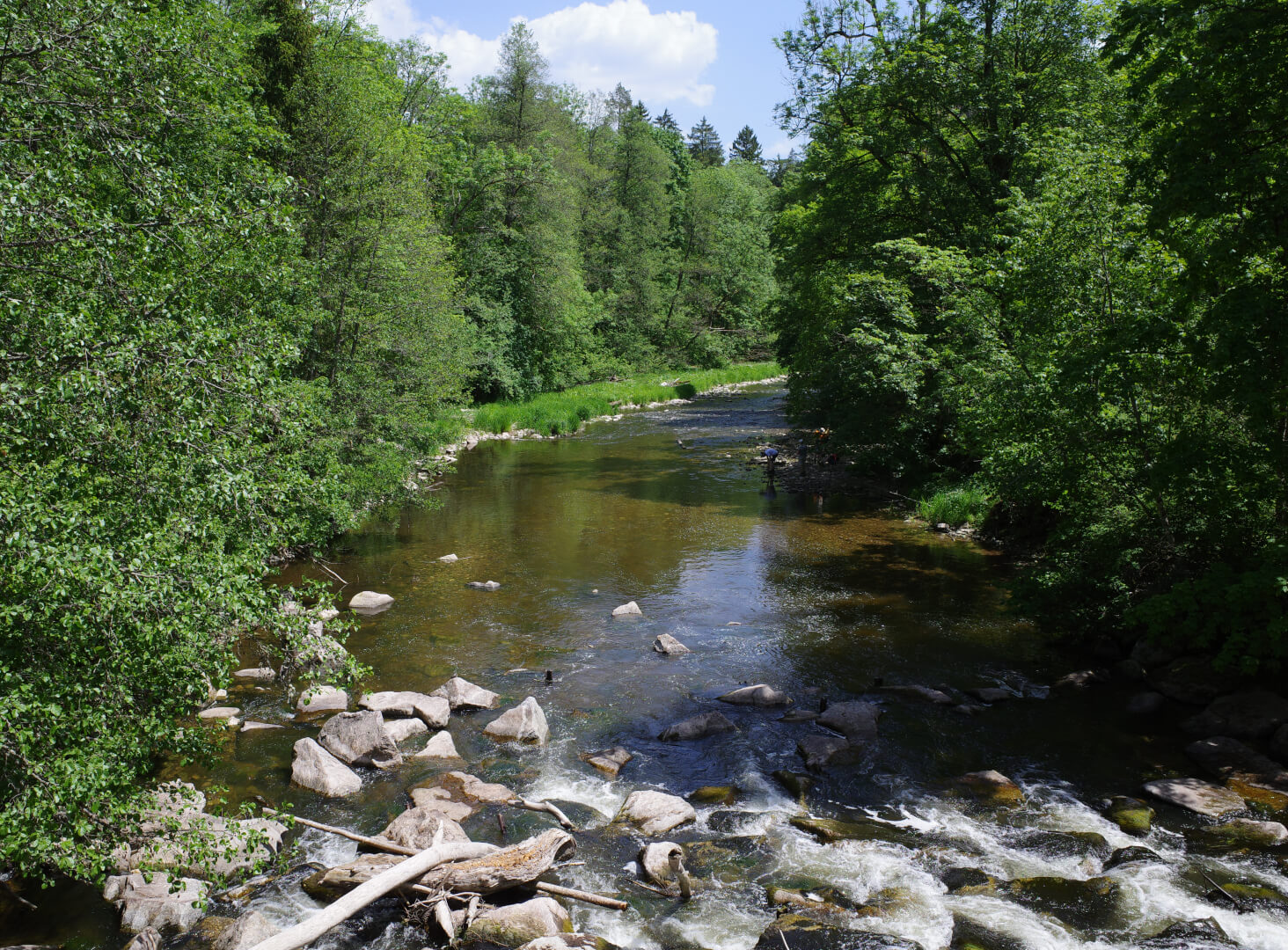 Dietfurtbrücke