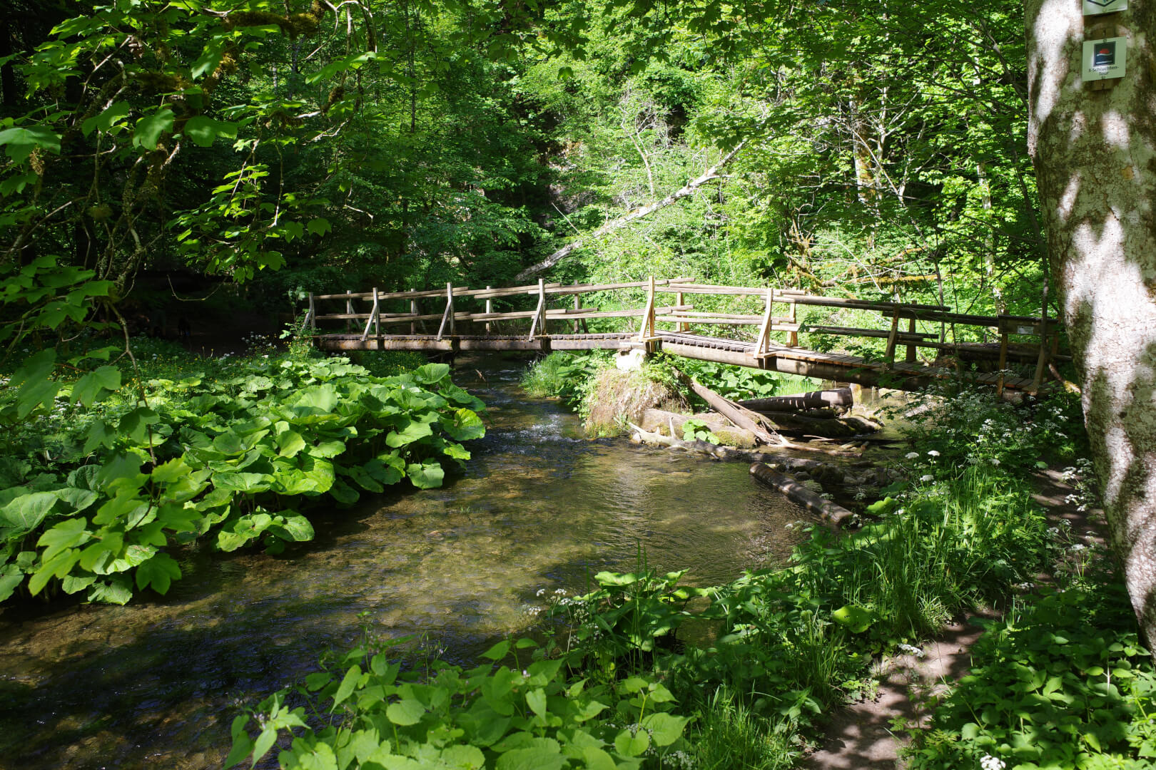Holzbrücke
