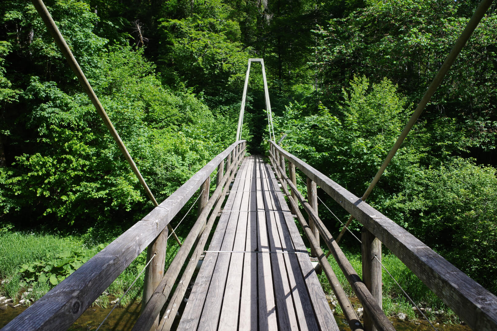 Holzhängebrücke