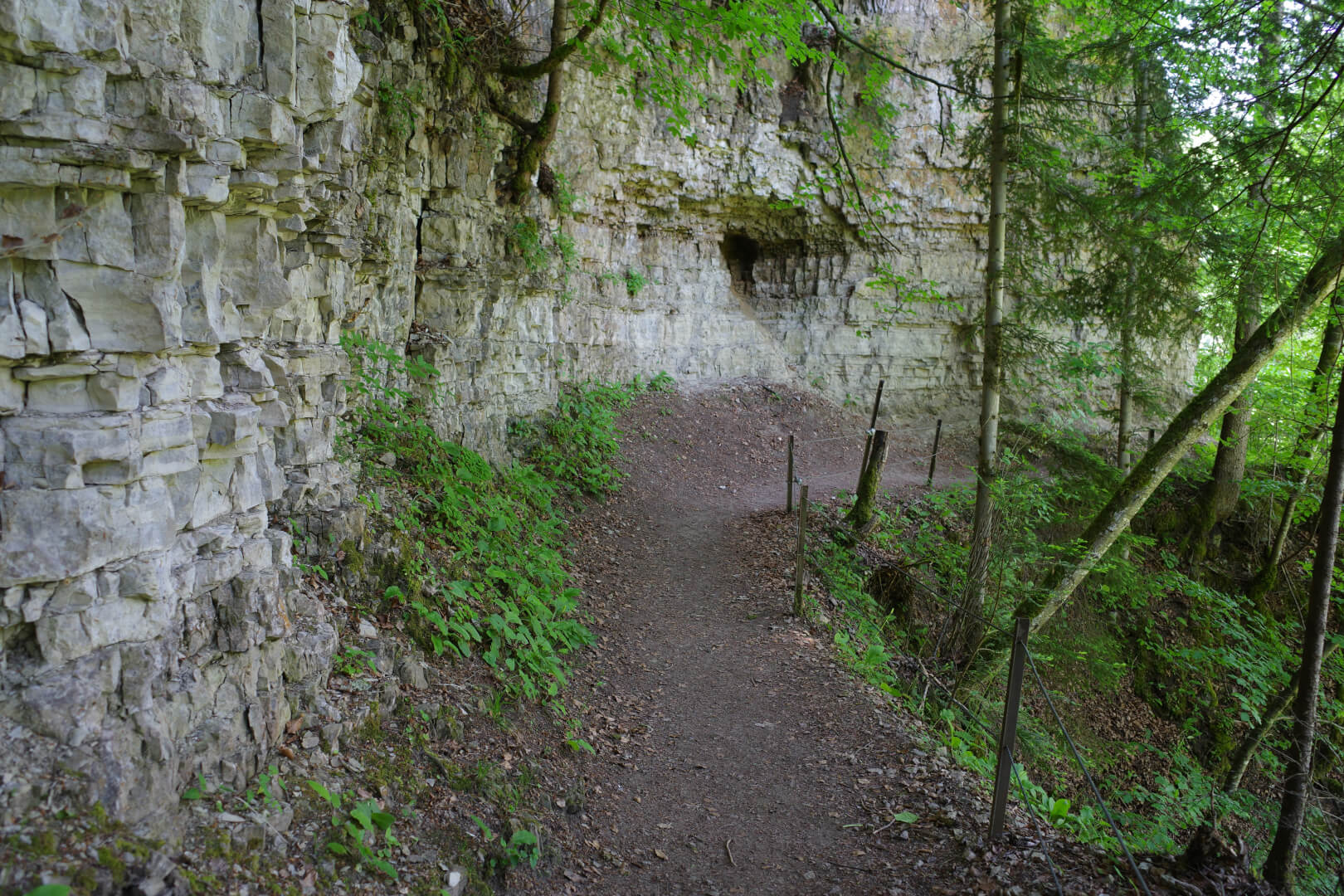 Kalkfelsen