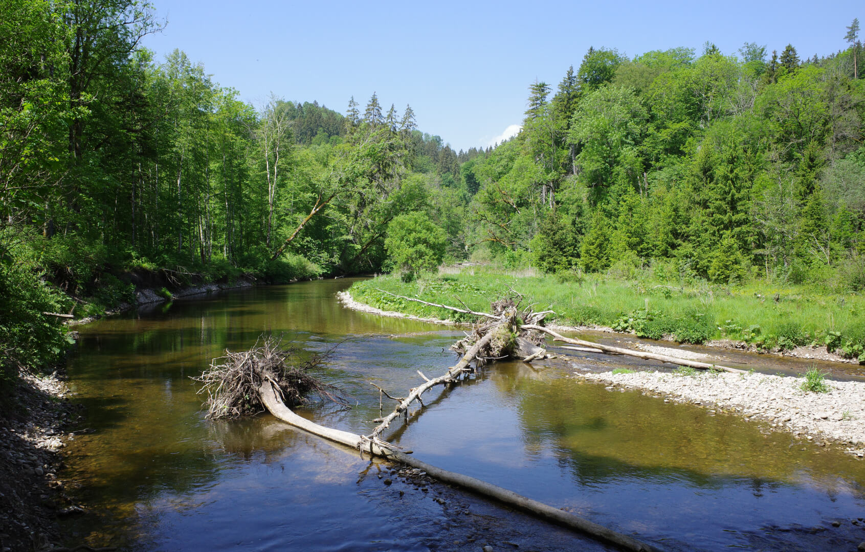 Naturschutzgebiet Wutachschlucht