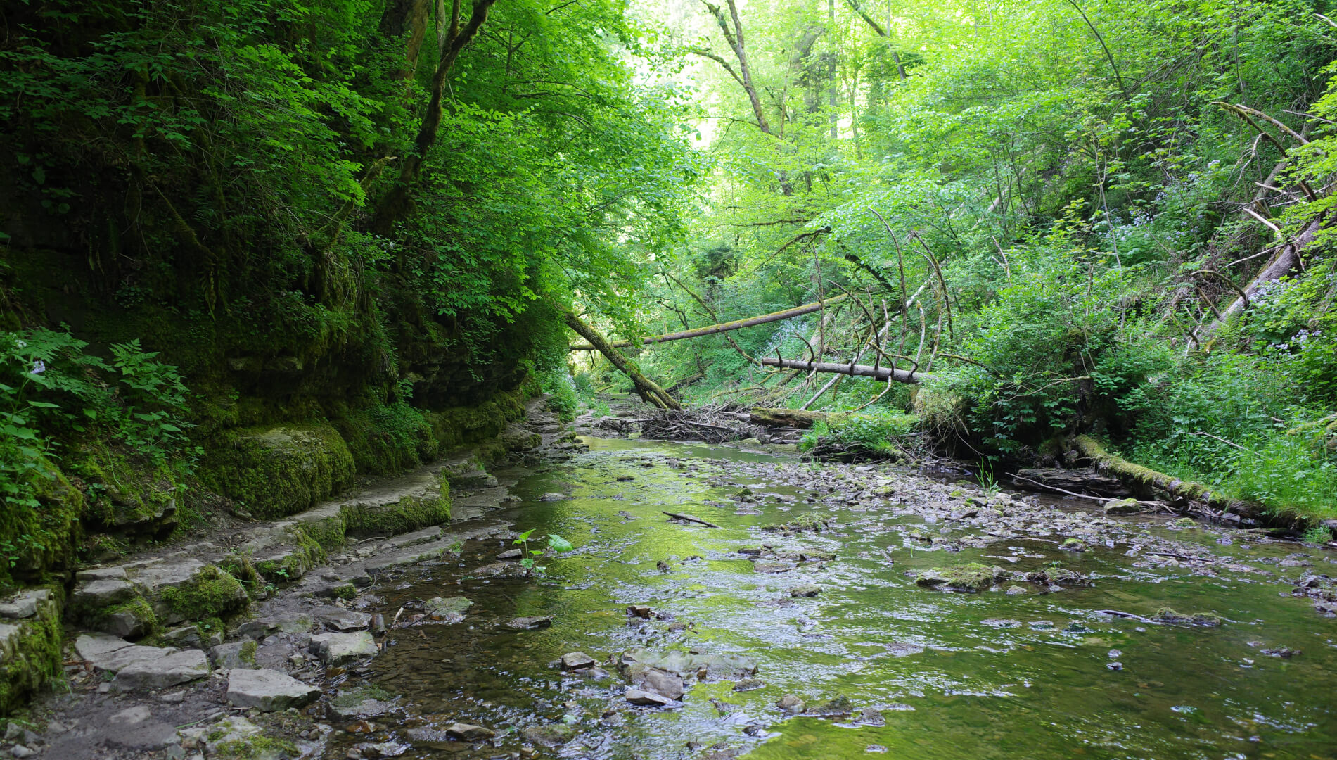 Schmaler Weg am Ufer
