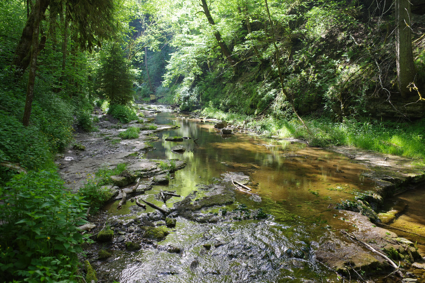 Urige Schlucht