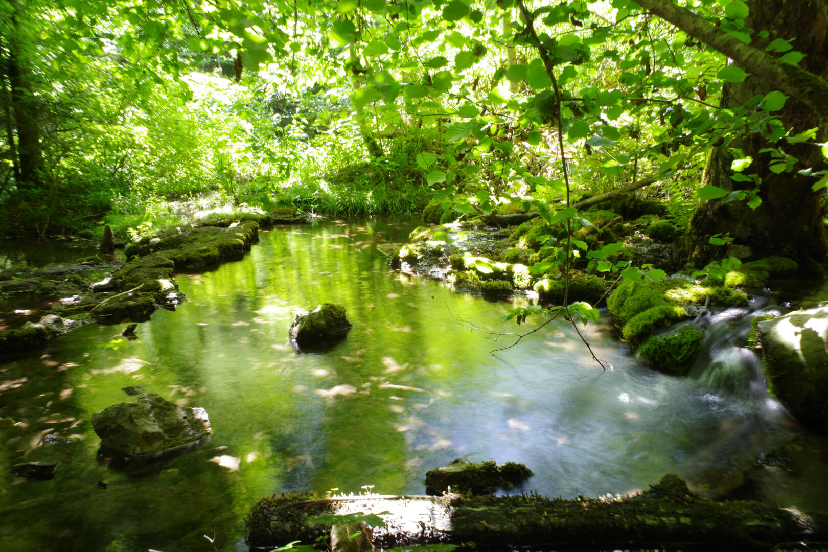 Verwunschener Teich