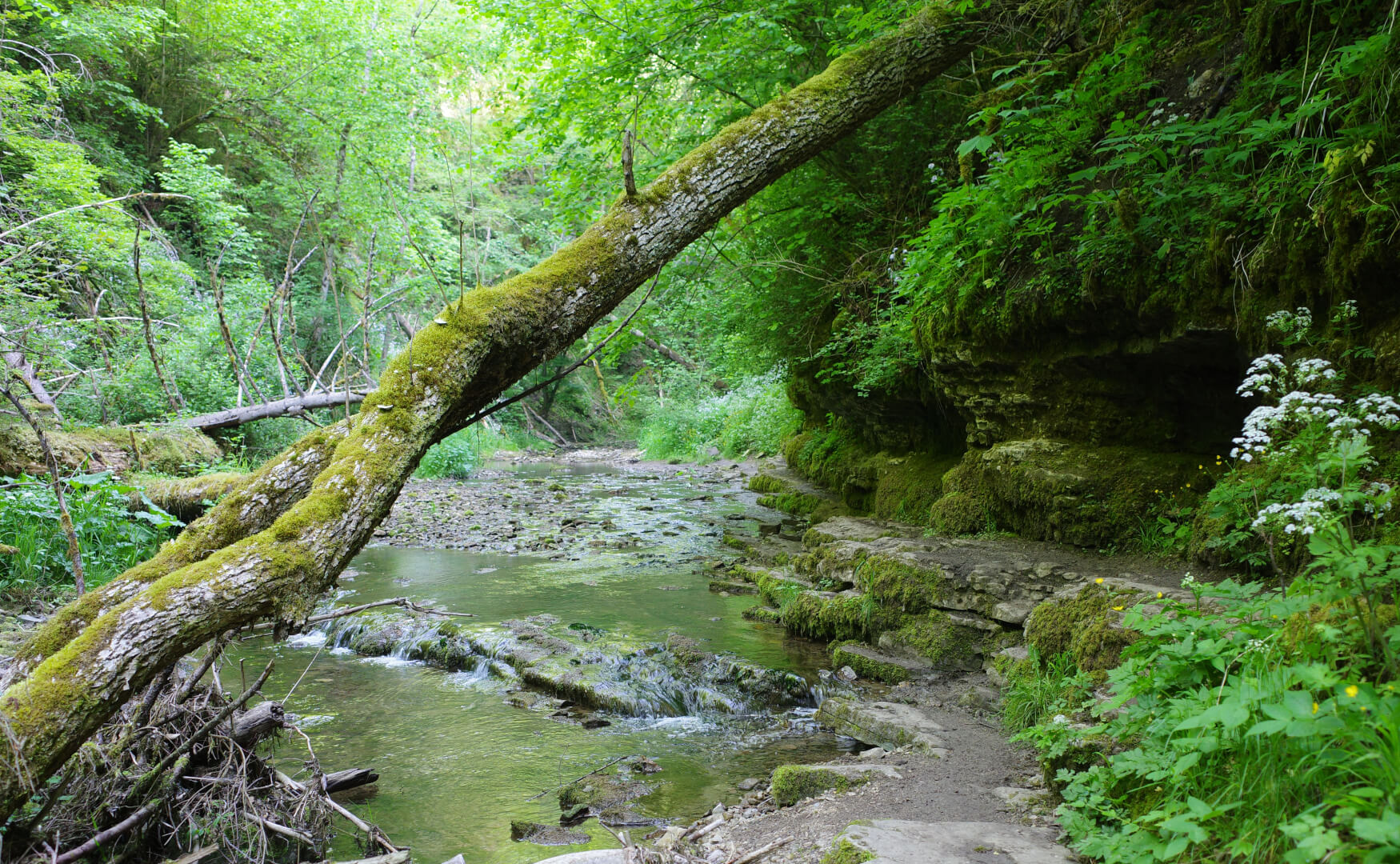 Wanderweg Gauchachtal