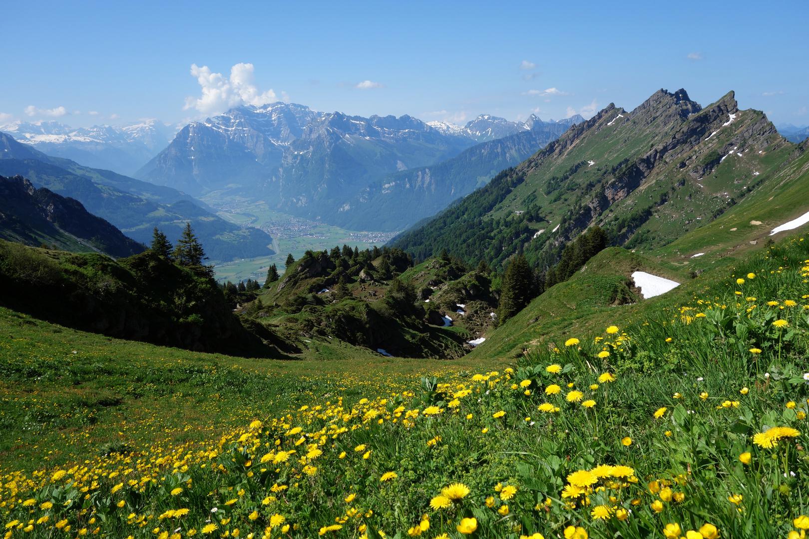 Blick ins Glarus