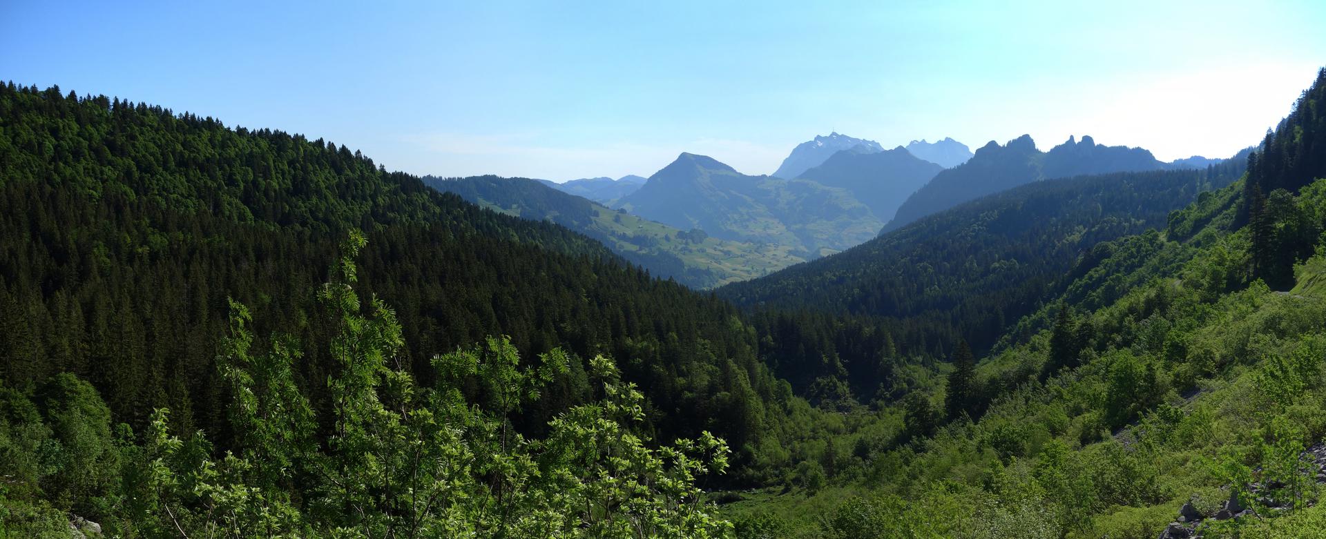 Blick ins Toggenburg