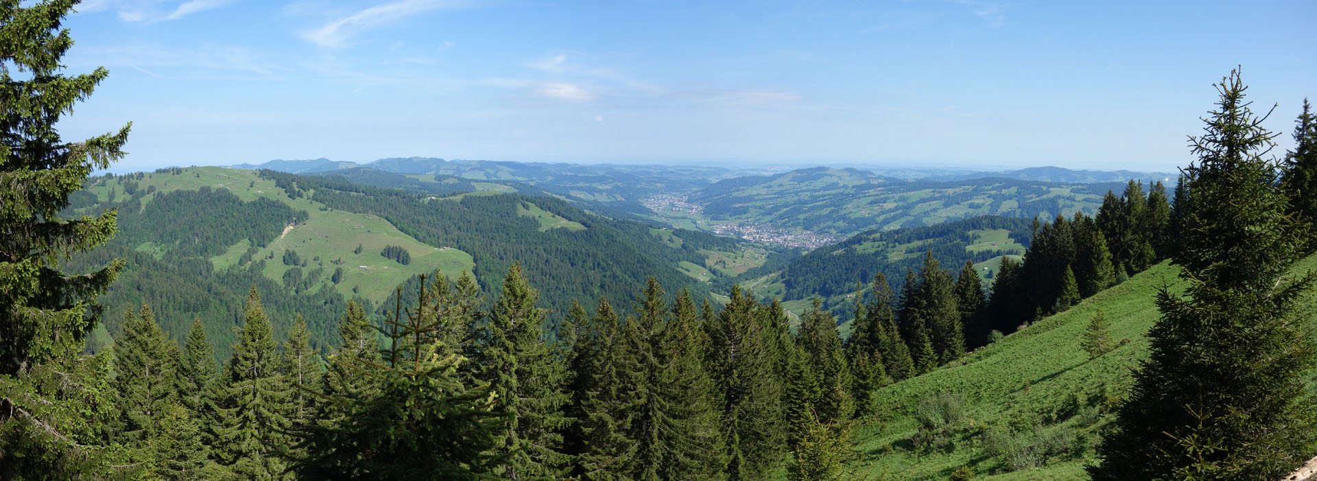 Blick auf Ebnat-Kappel