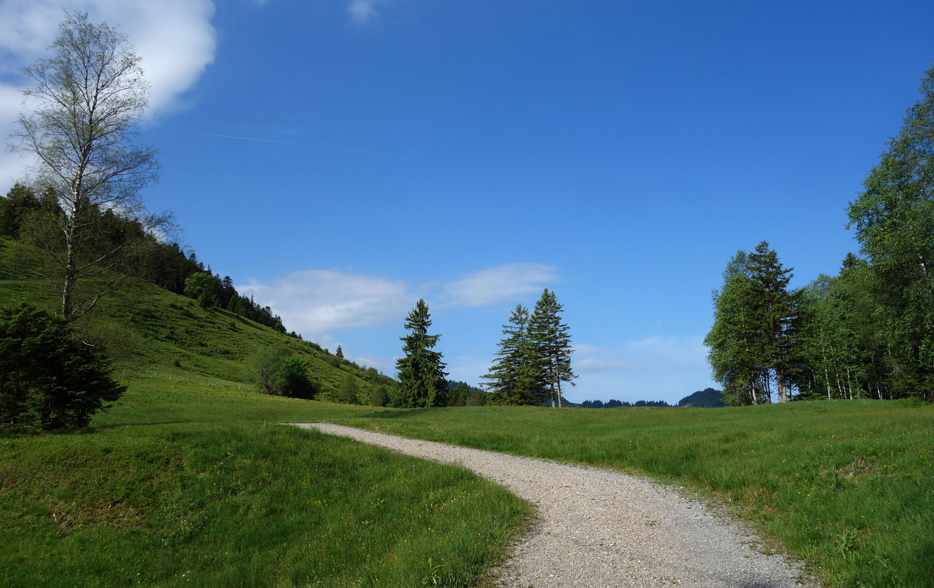 Fahrweg Wolzenalp