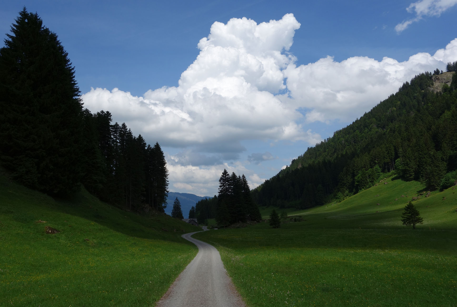 Straße durchs Ijental