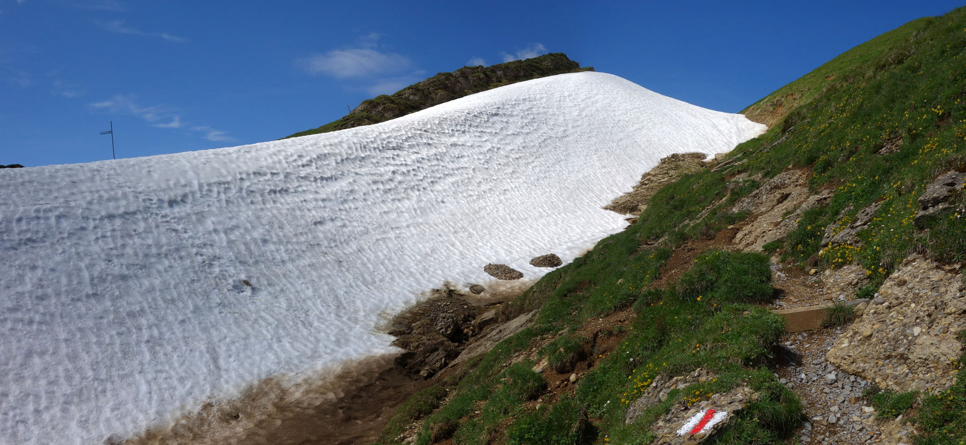 Wanderweg mit Schneefeld