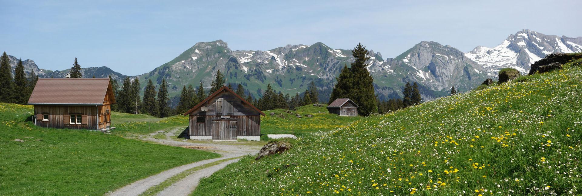 Alphütten mit Blumenwiese