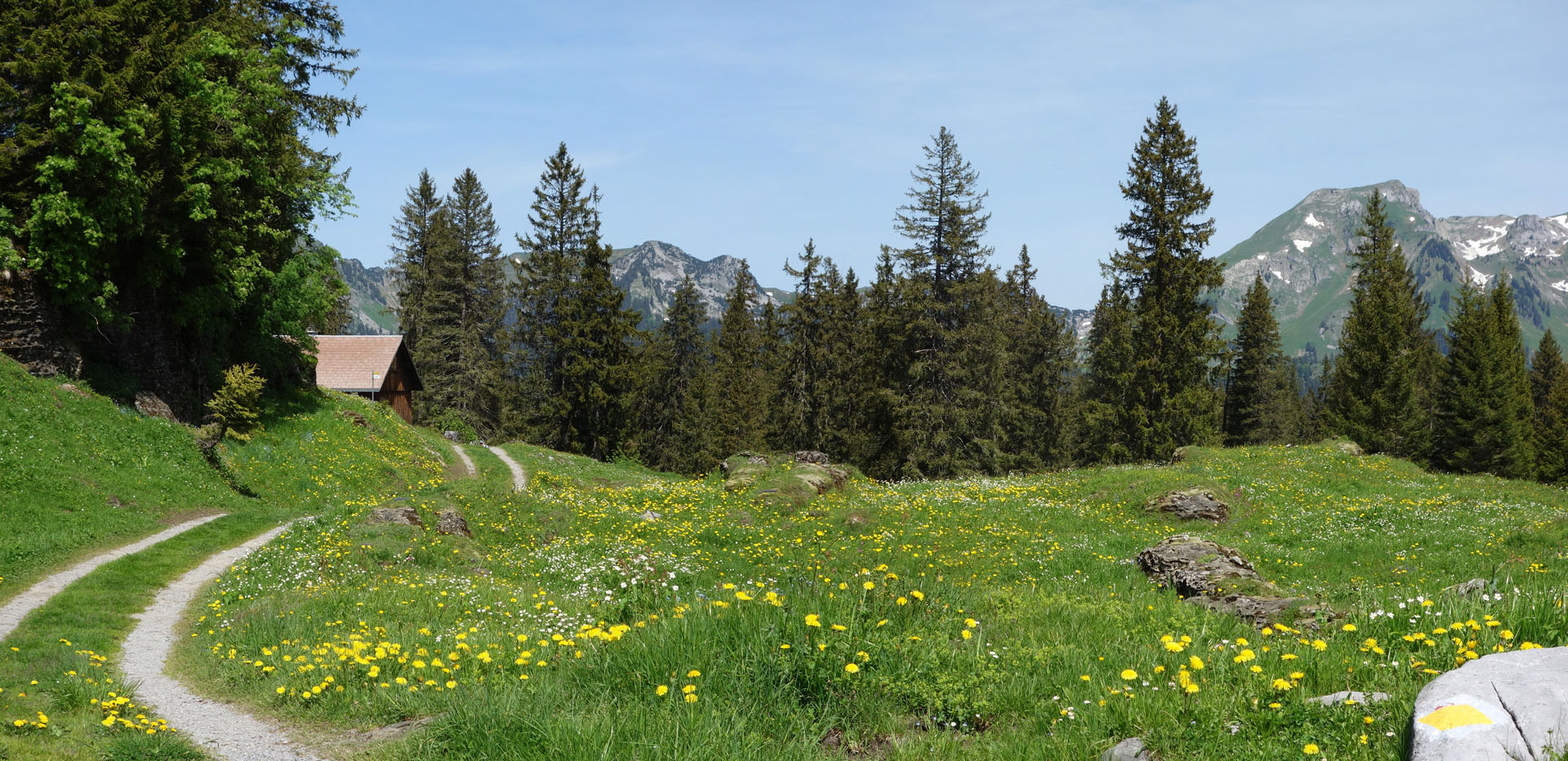 Alphütten mit Blumenwiese