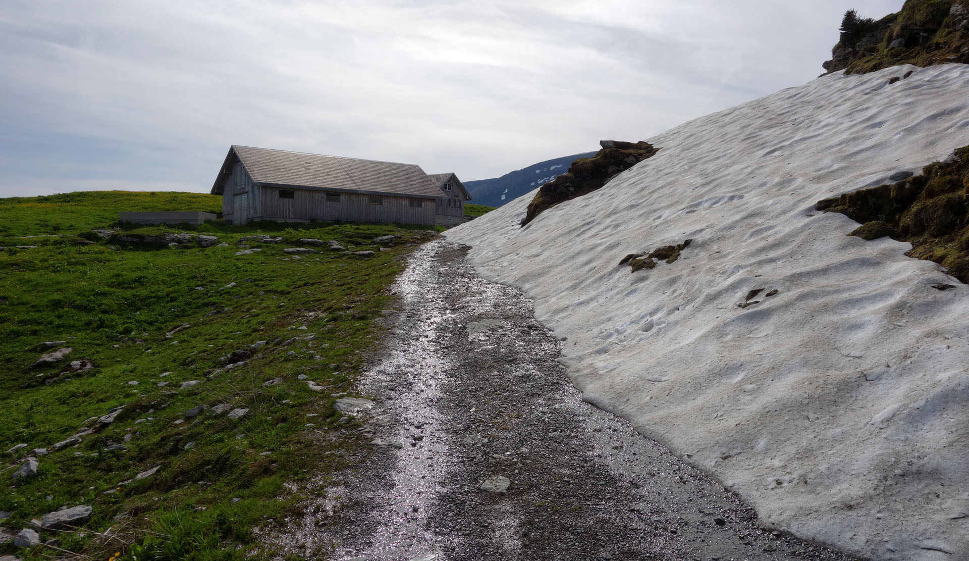 Altschnee auf Fahrweg