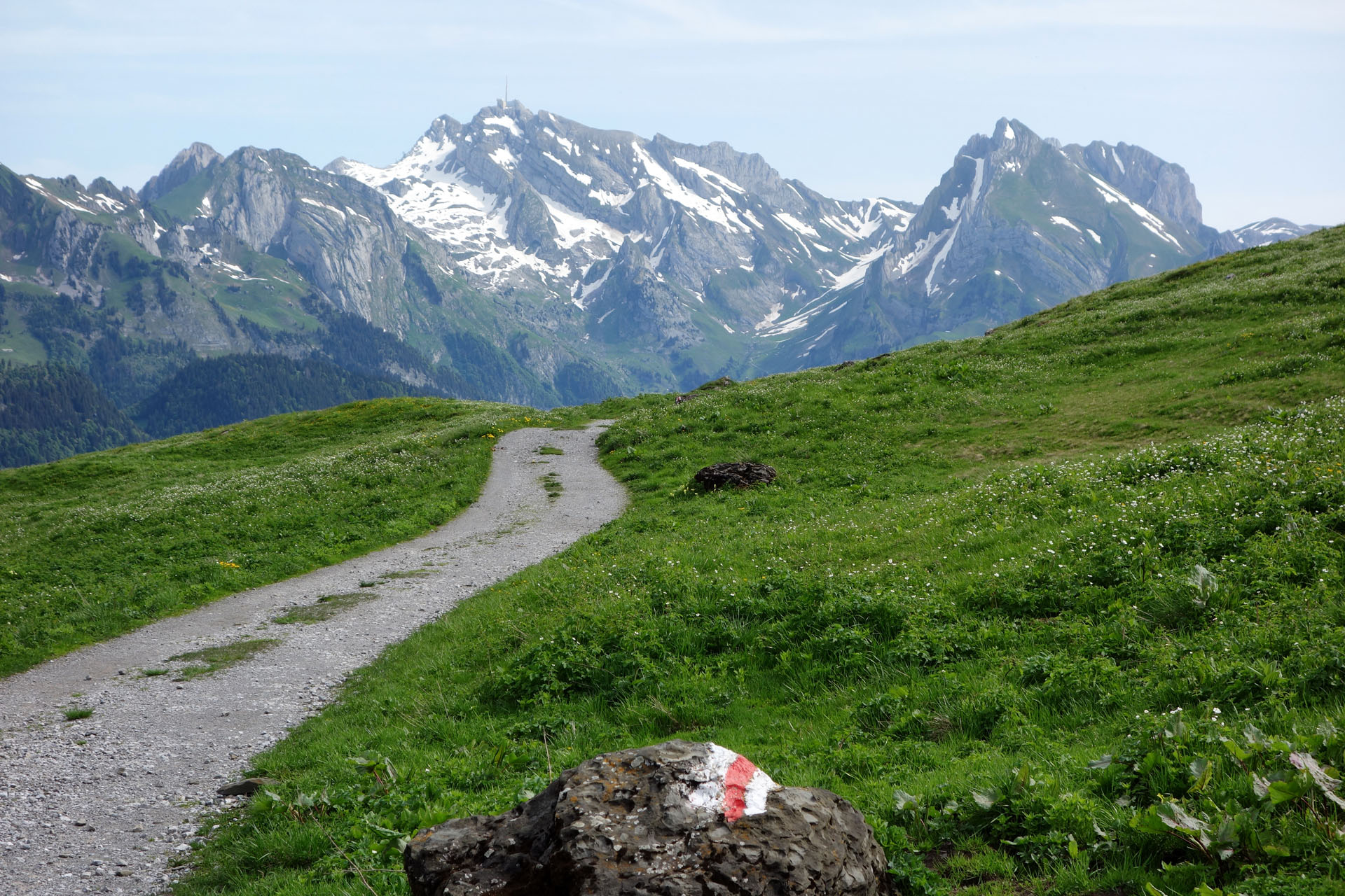 Fahrweg mit Alpstein
