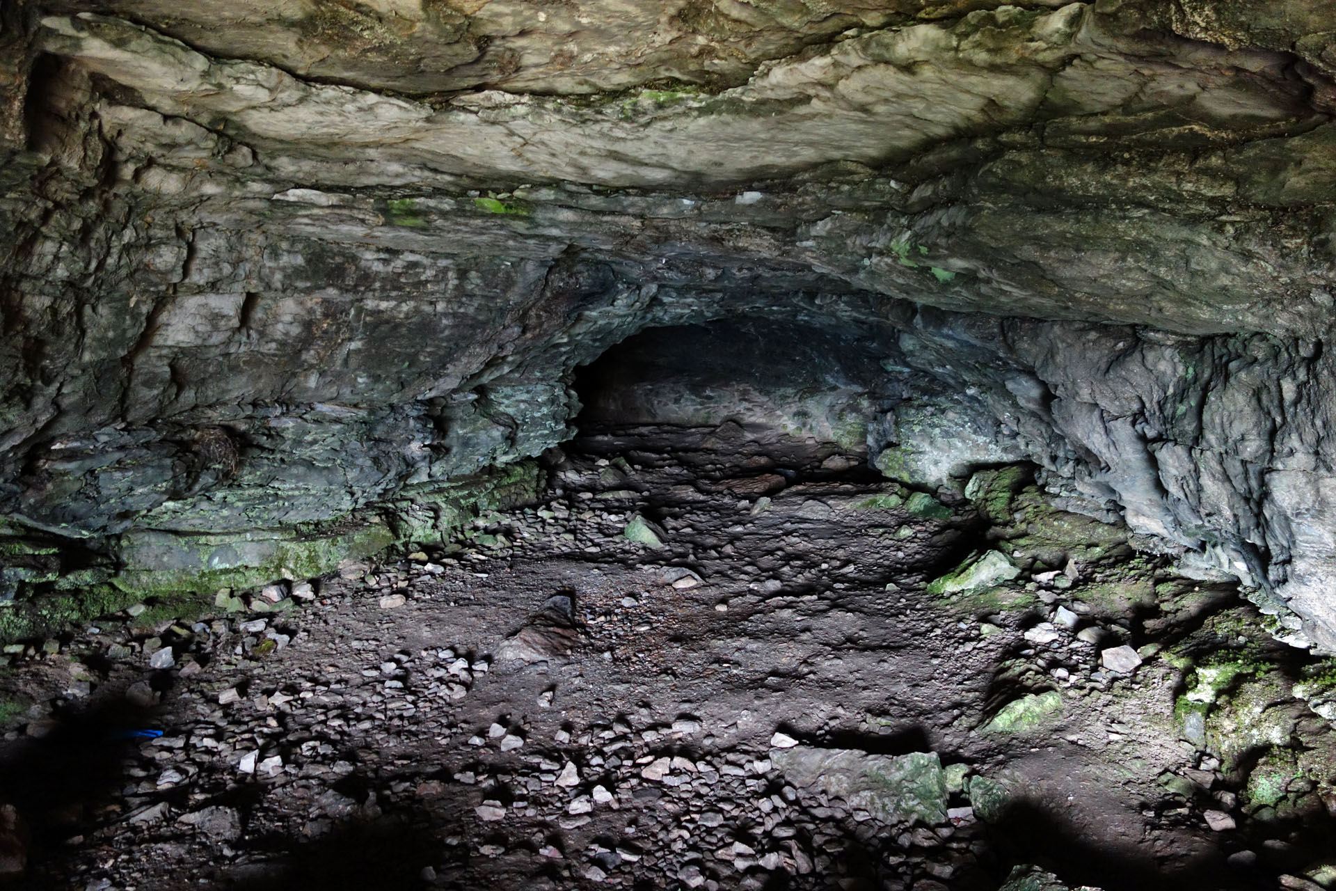 Höhle Wildmannlisloch