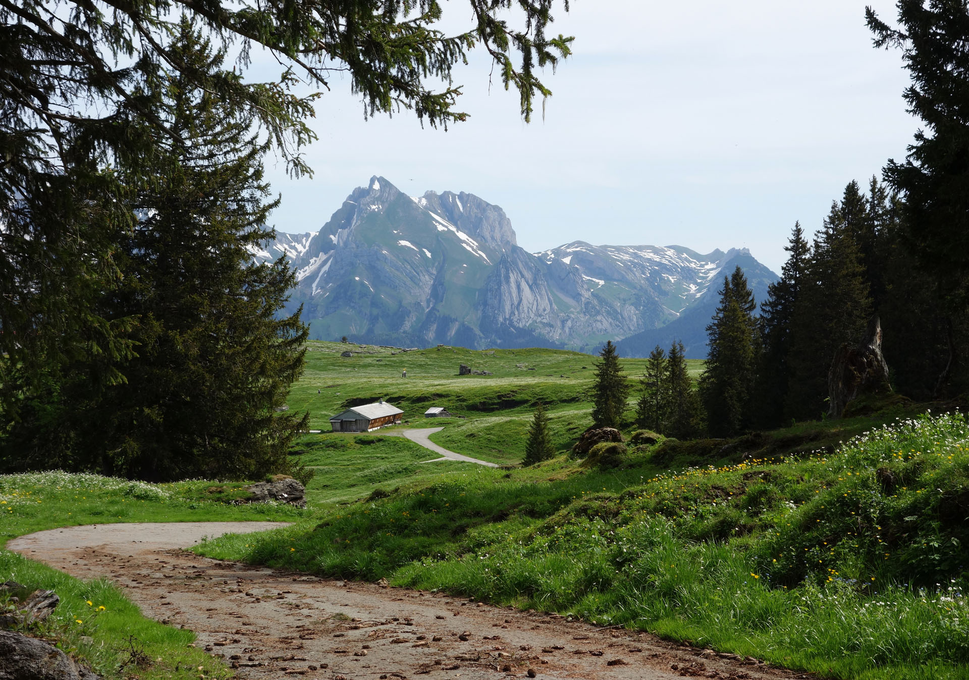 Schafberg