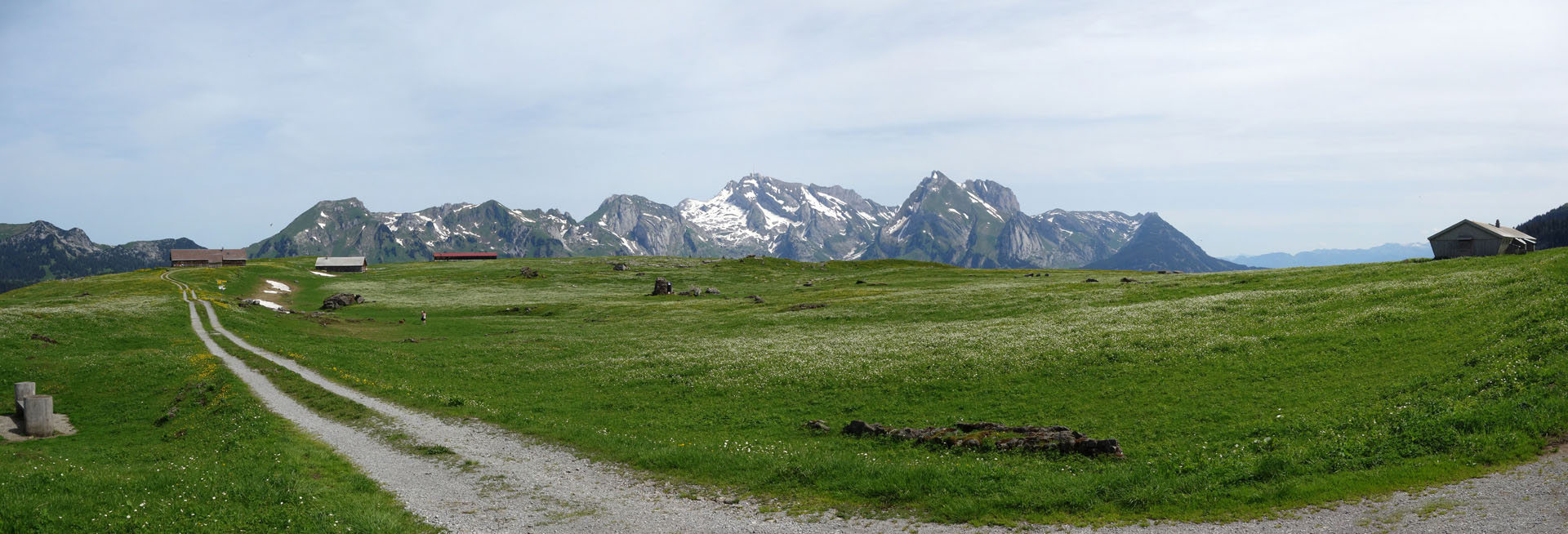 Thurtalerstofel