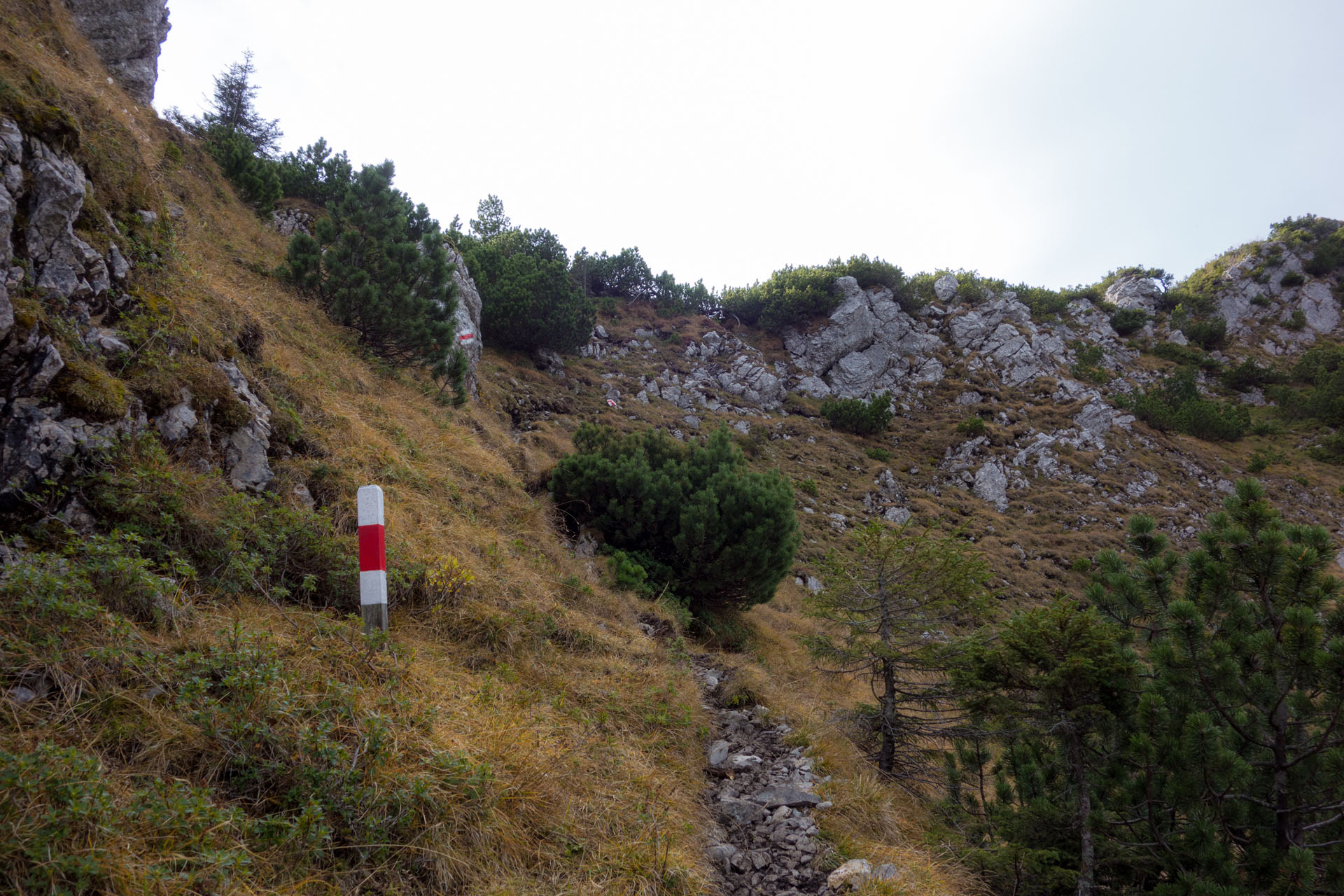 Bergweg