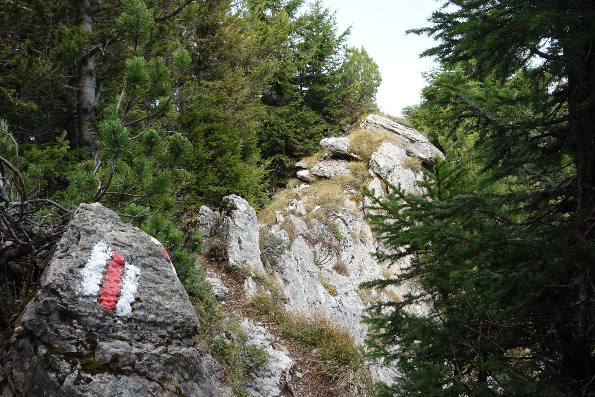 Gratweg Neuenalpspitz
