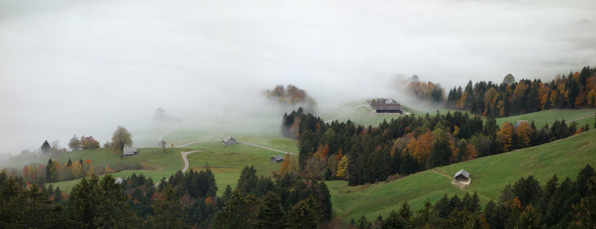 Herbstnebel
