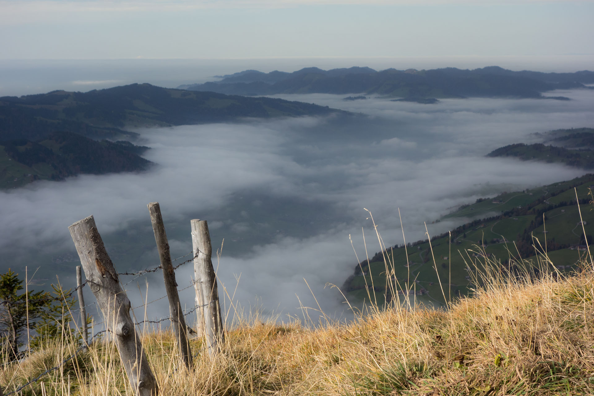 Nebel im Toggenburg