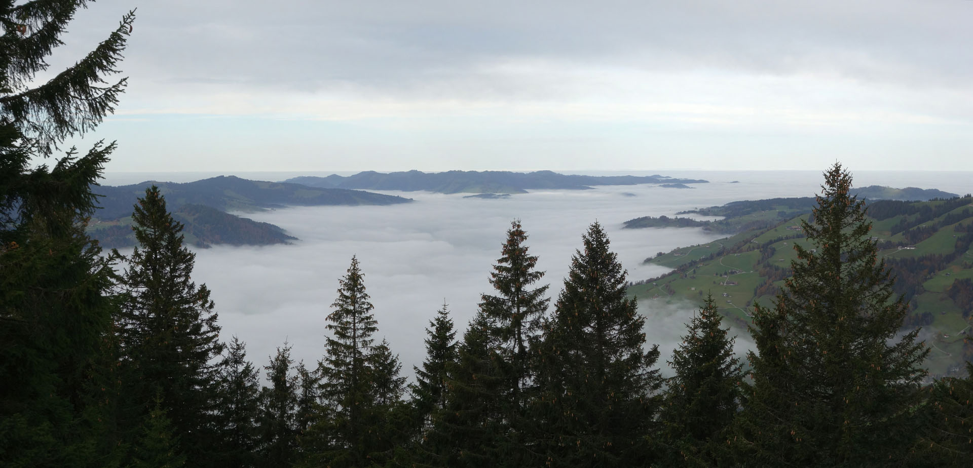 Nebelmeer