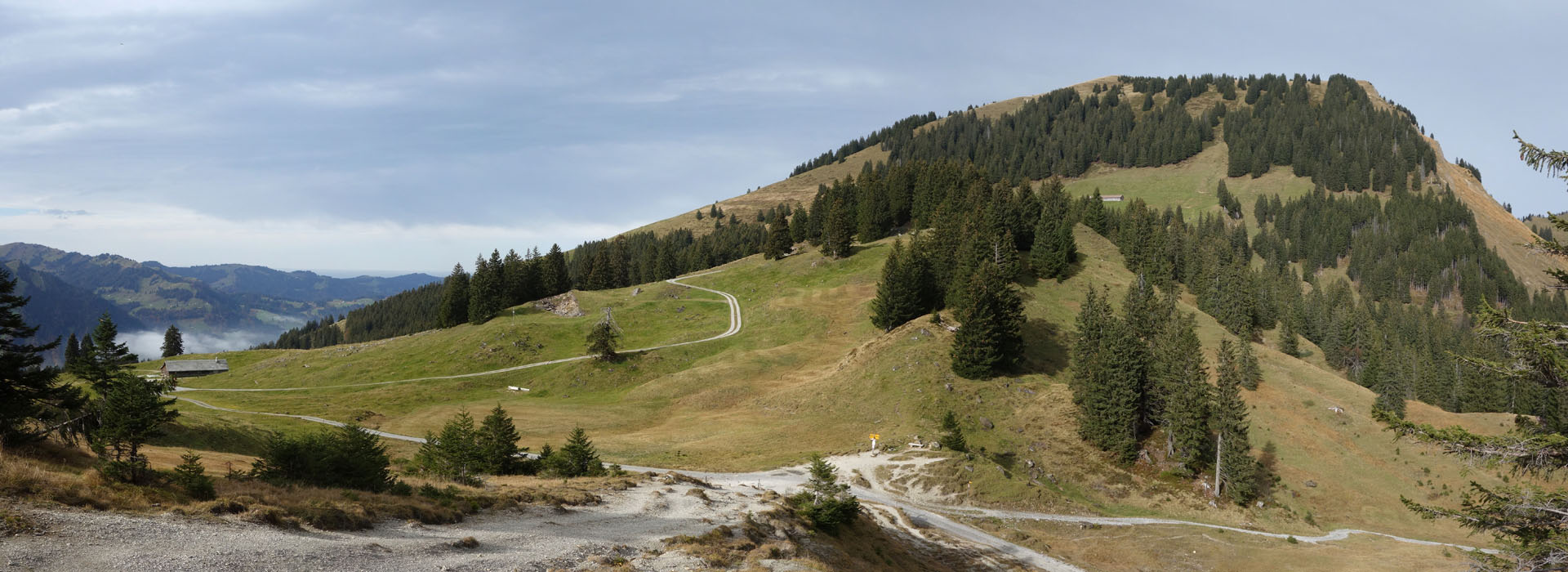 Risipass