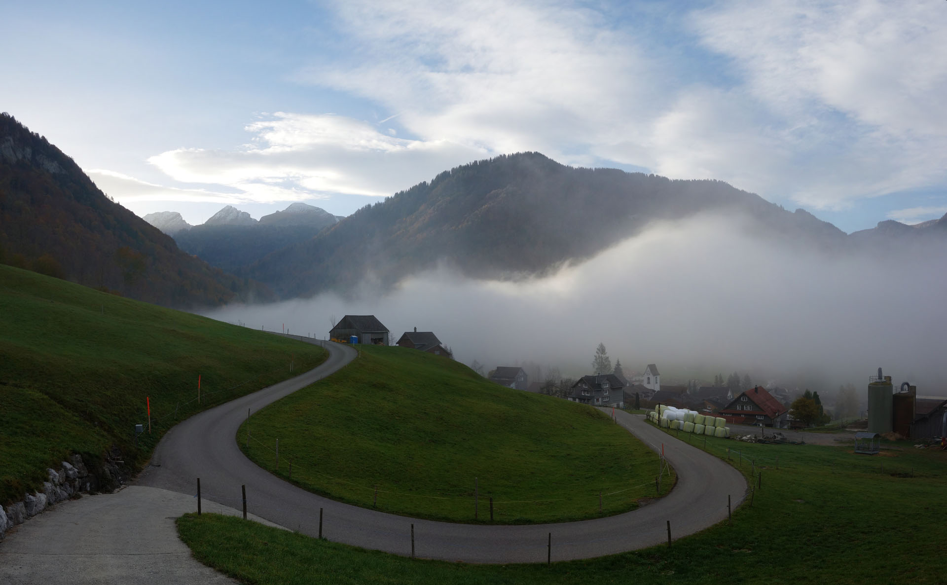 Serpentine im Nebel