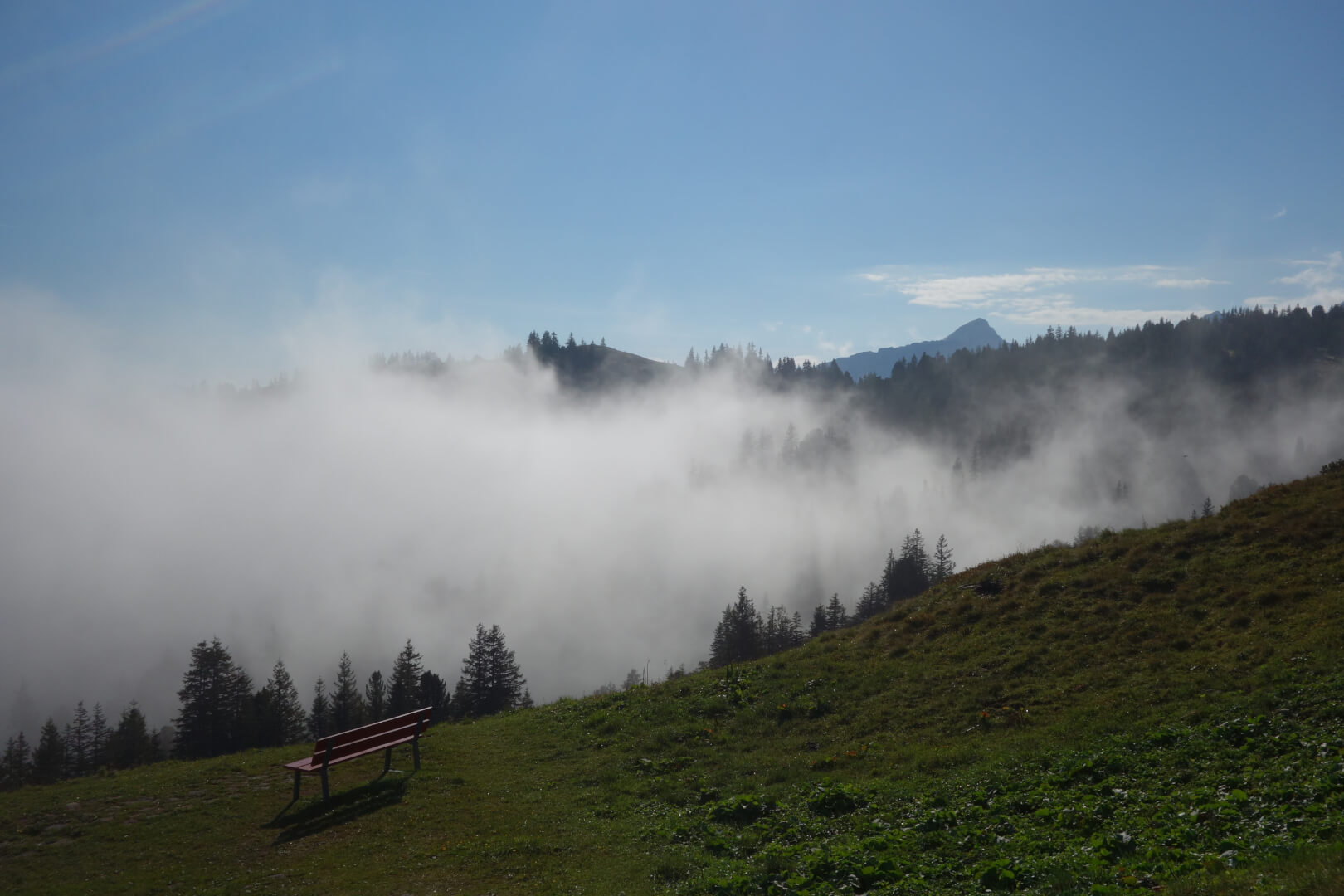 Aussichtsbank Gamsalp
