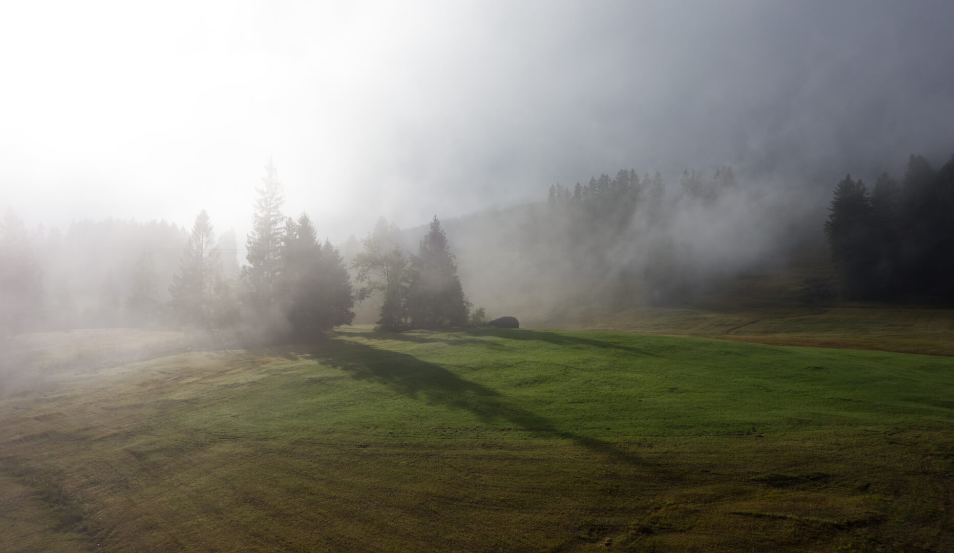 Nebelschwaden am Morgen