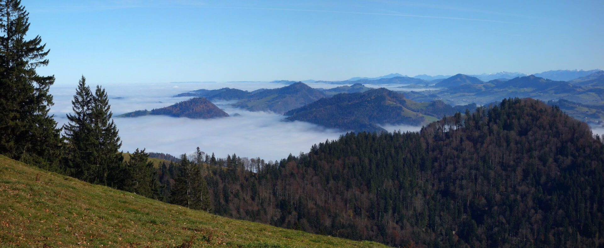 Appenzellerland