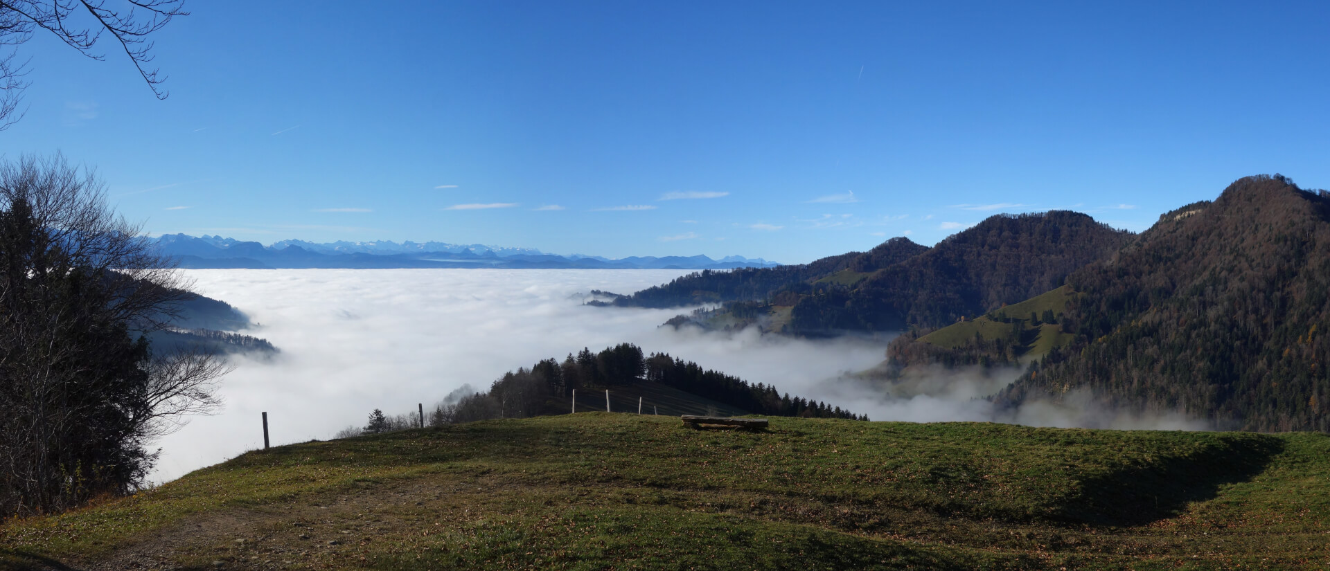 Aussichtspunkt über dem Nebel