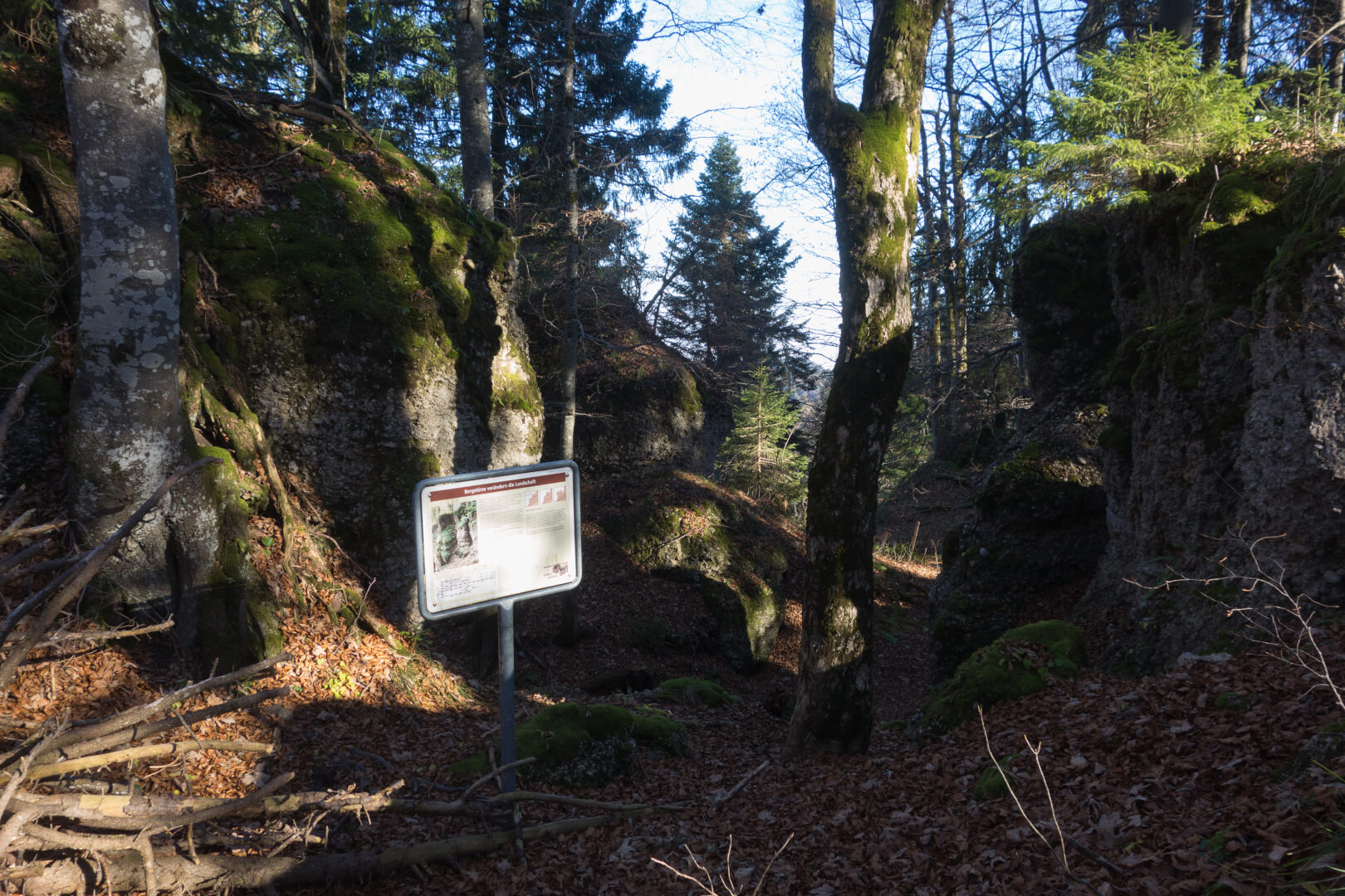 Bergsturz Chrüzegg