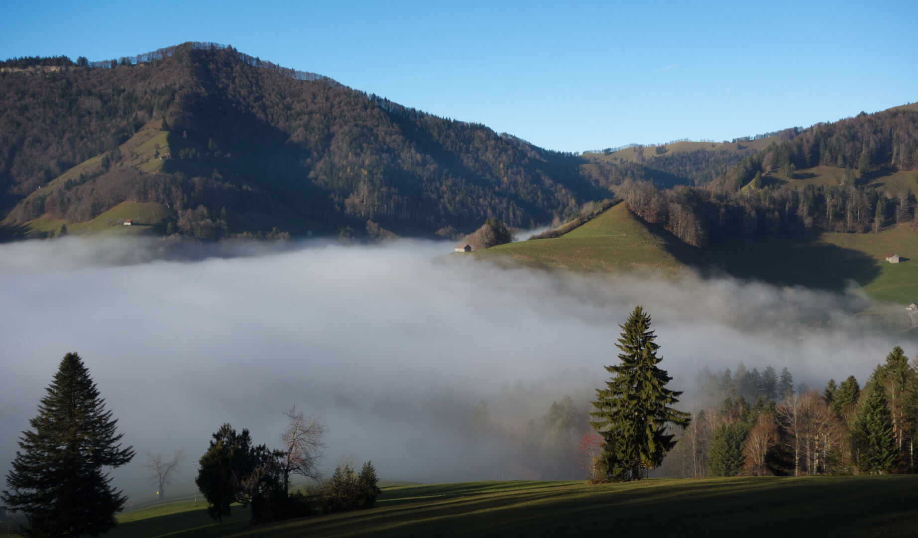 Nebel im Tal