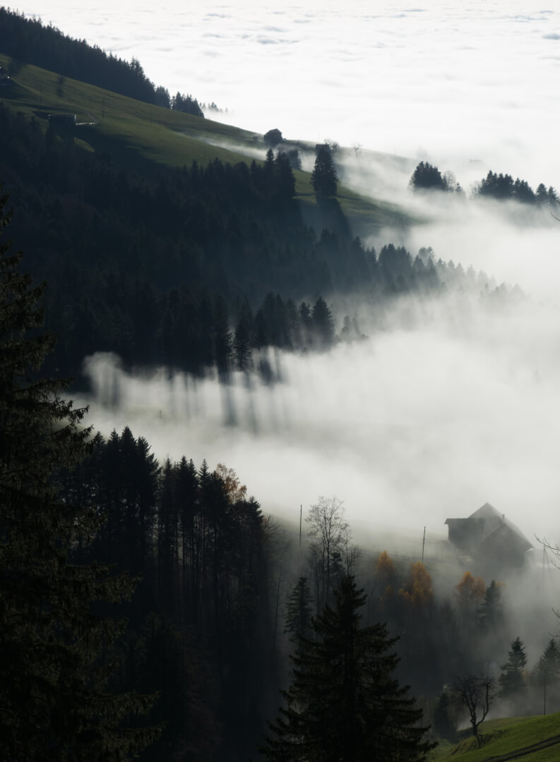 Nebelgrenze