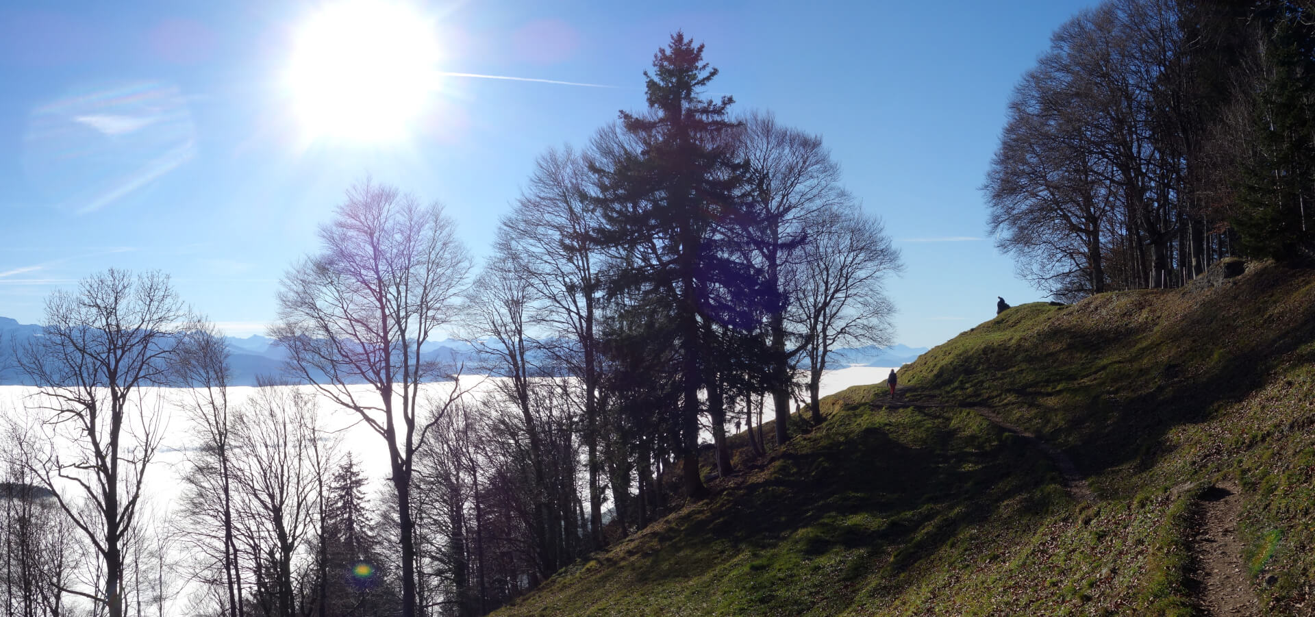 Sonnenschein beim Wandern
