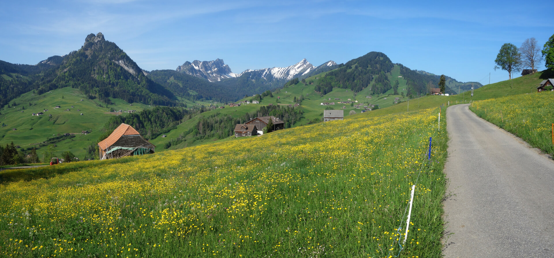 Fahrstraße Stein