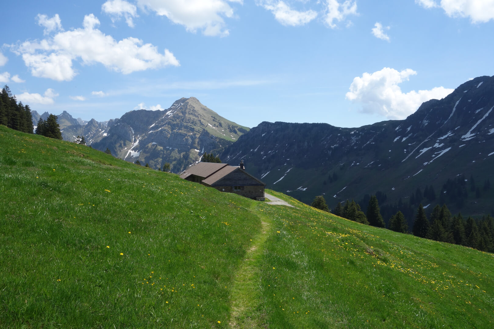 Lütispitz