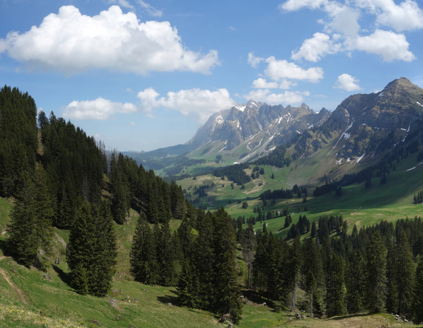 Risipass