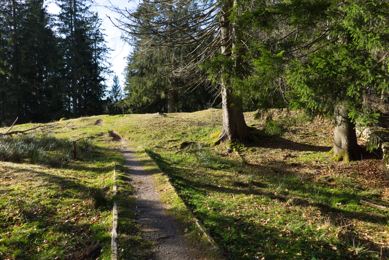 Befestigter Weg