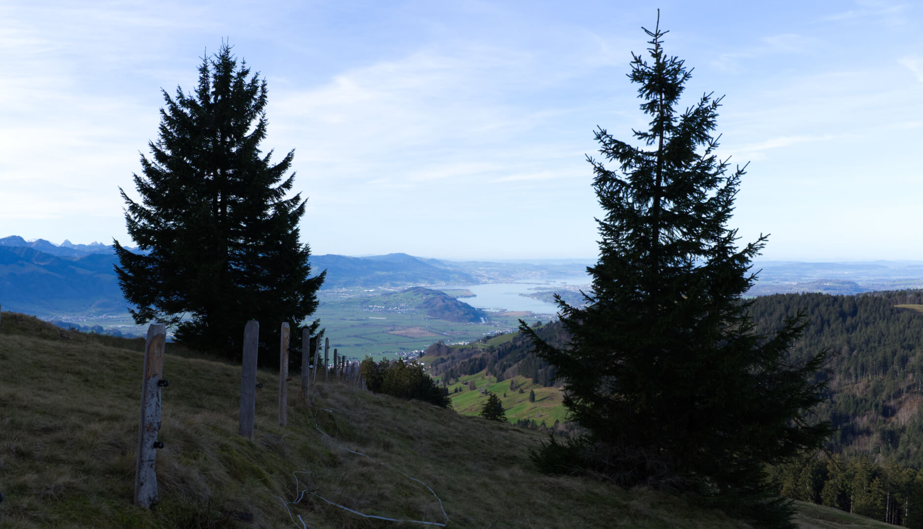Blick auf Zürchersee