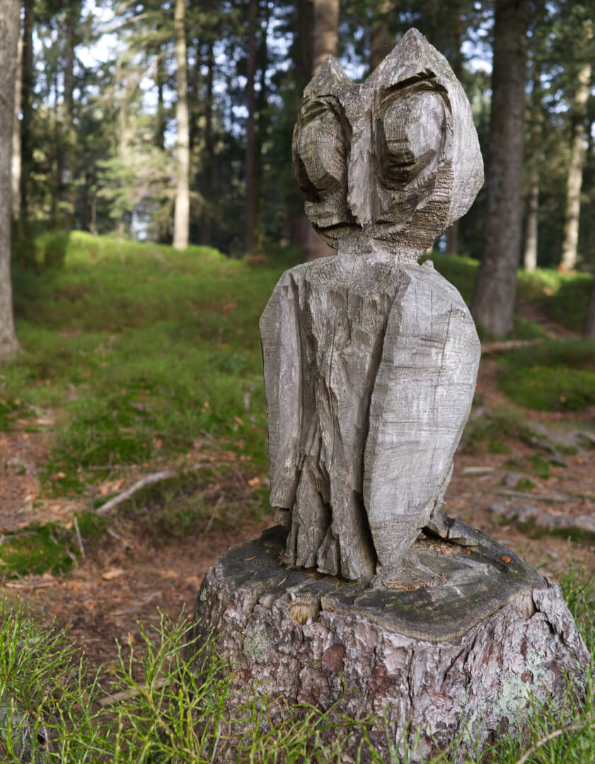 Holzeule