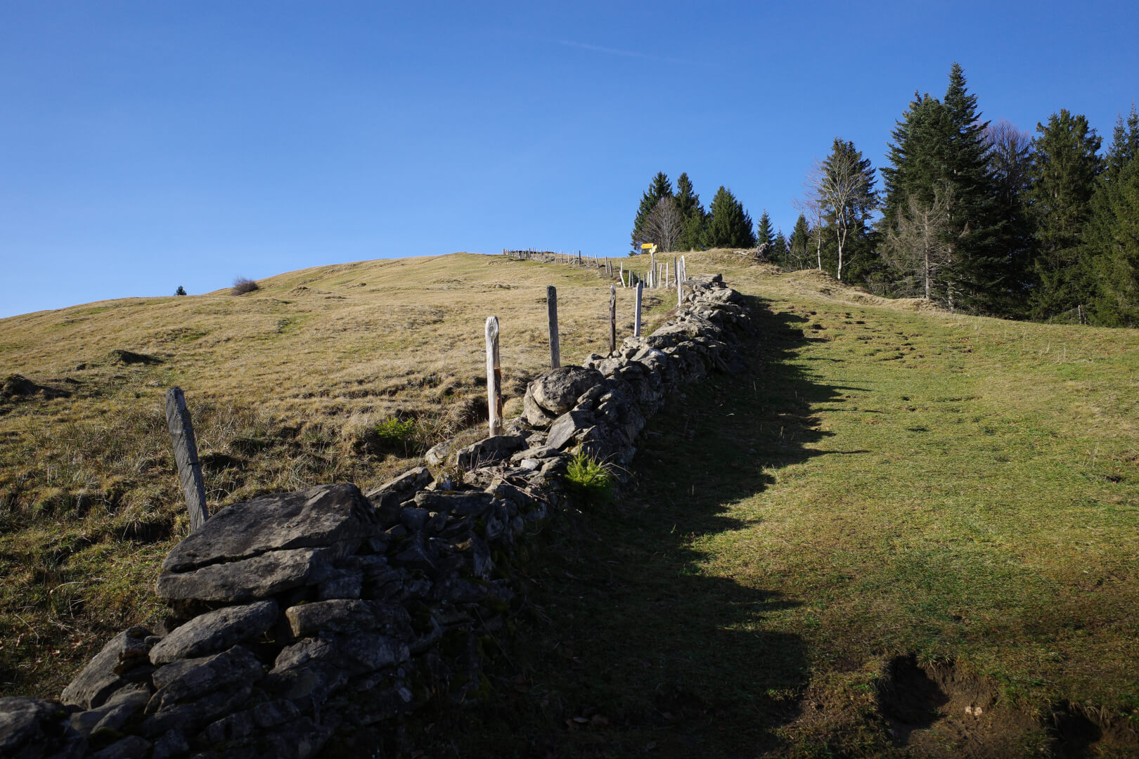 Mauer auf Alpwiese