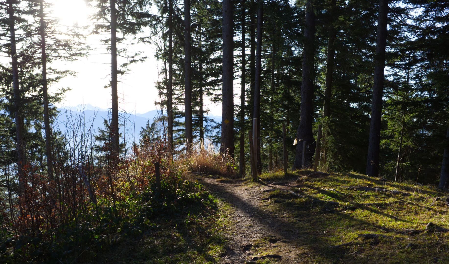 Wanderweg Alp Egg
