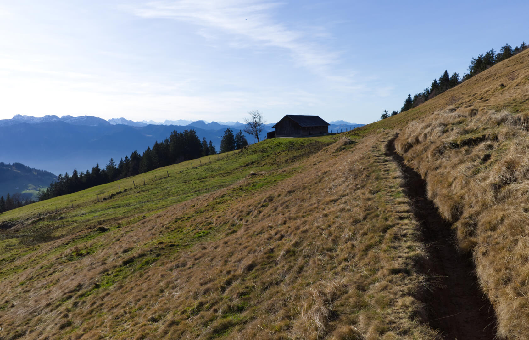 Weg zur Alp Breitenau