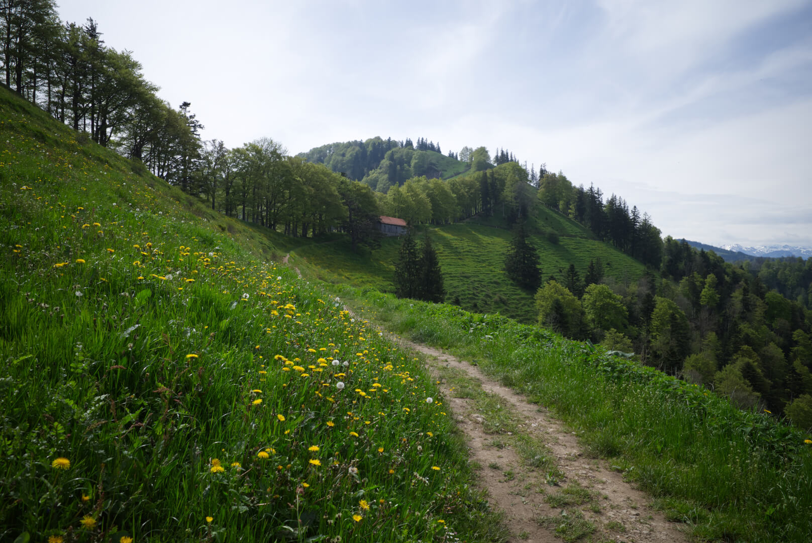 Wanderweg Schnebelhorn