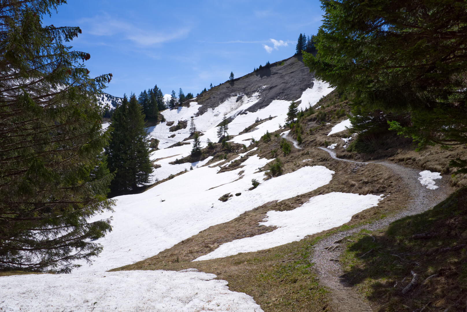 Frühlingswanderung