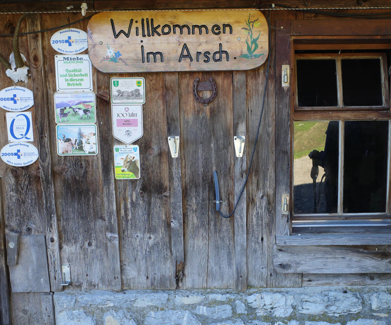 Alp Arsch