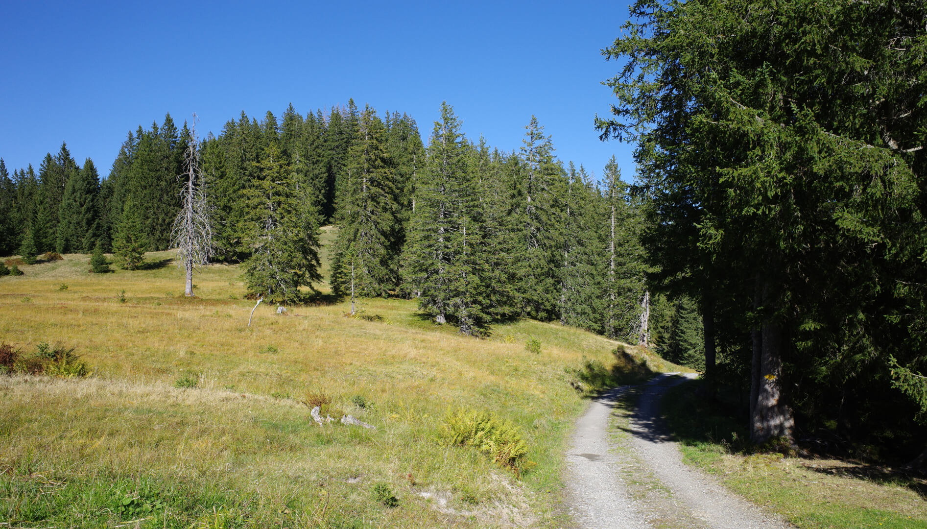 Alpweg Häderenberg
